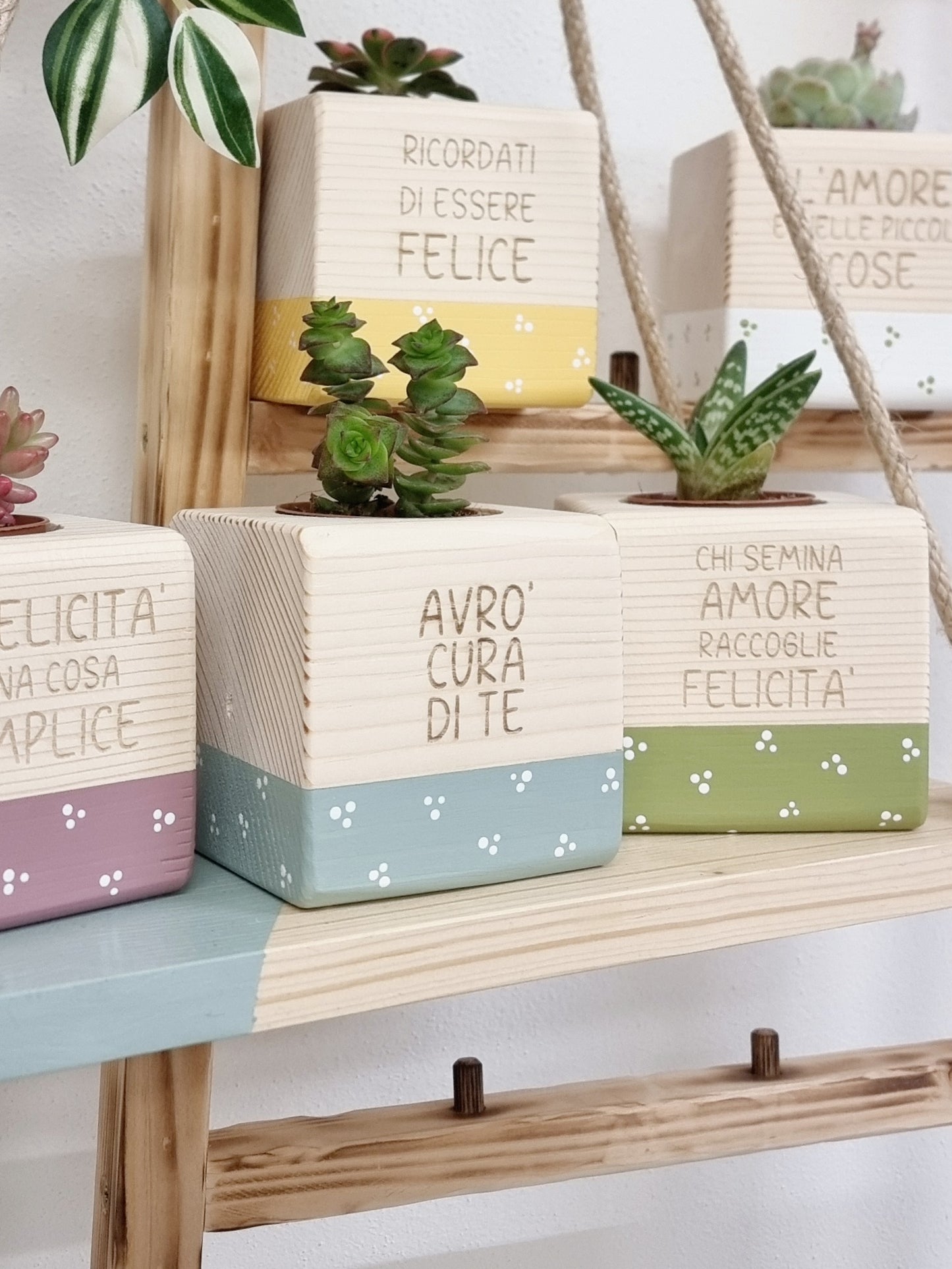 Cubotti fioriti