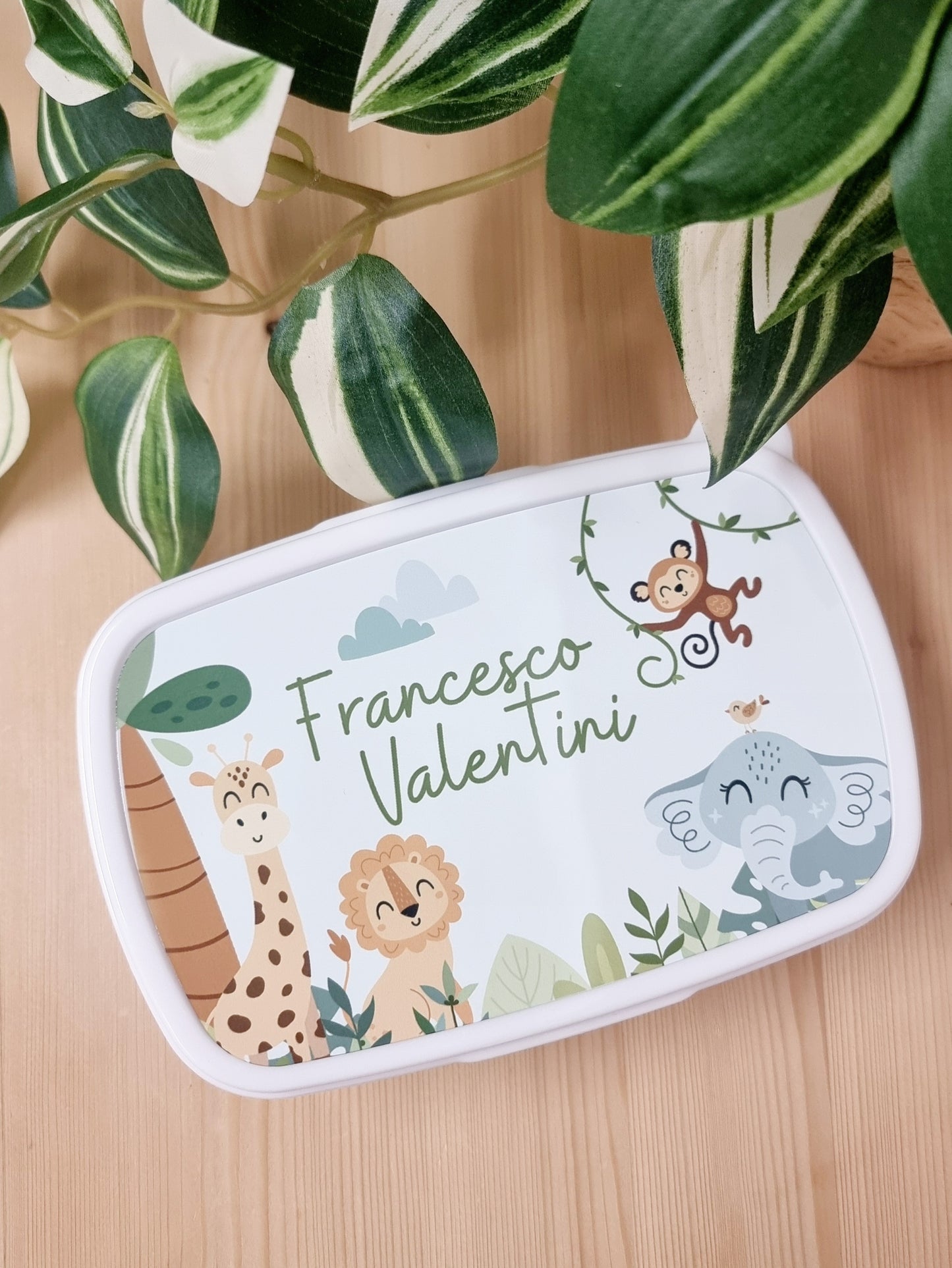 Lunch Box
