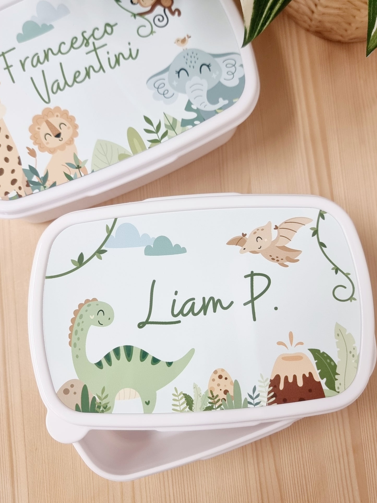 Lunch Box