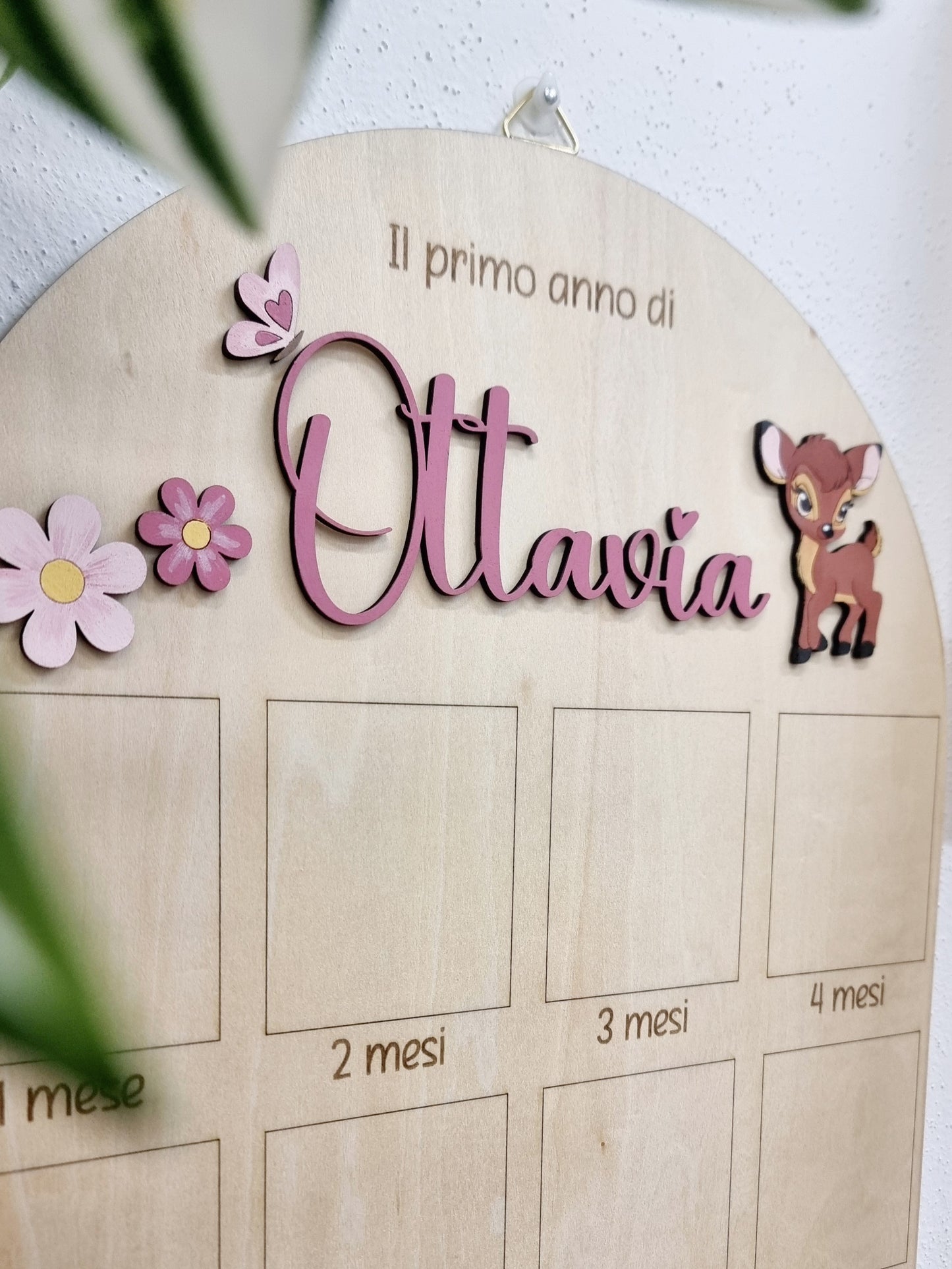 Cornice 12 mesi