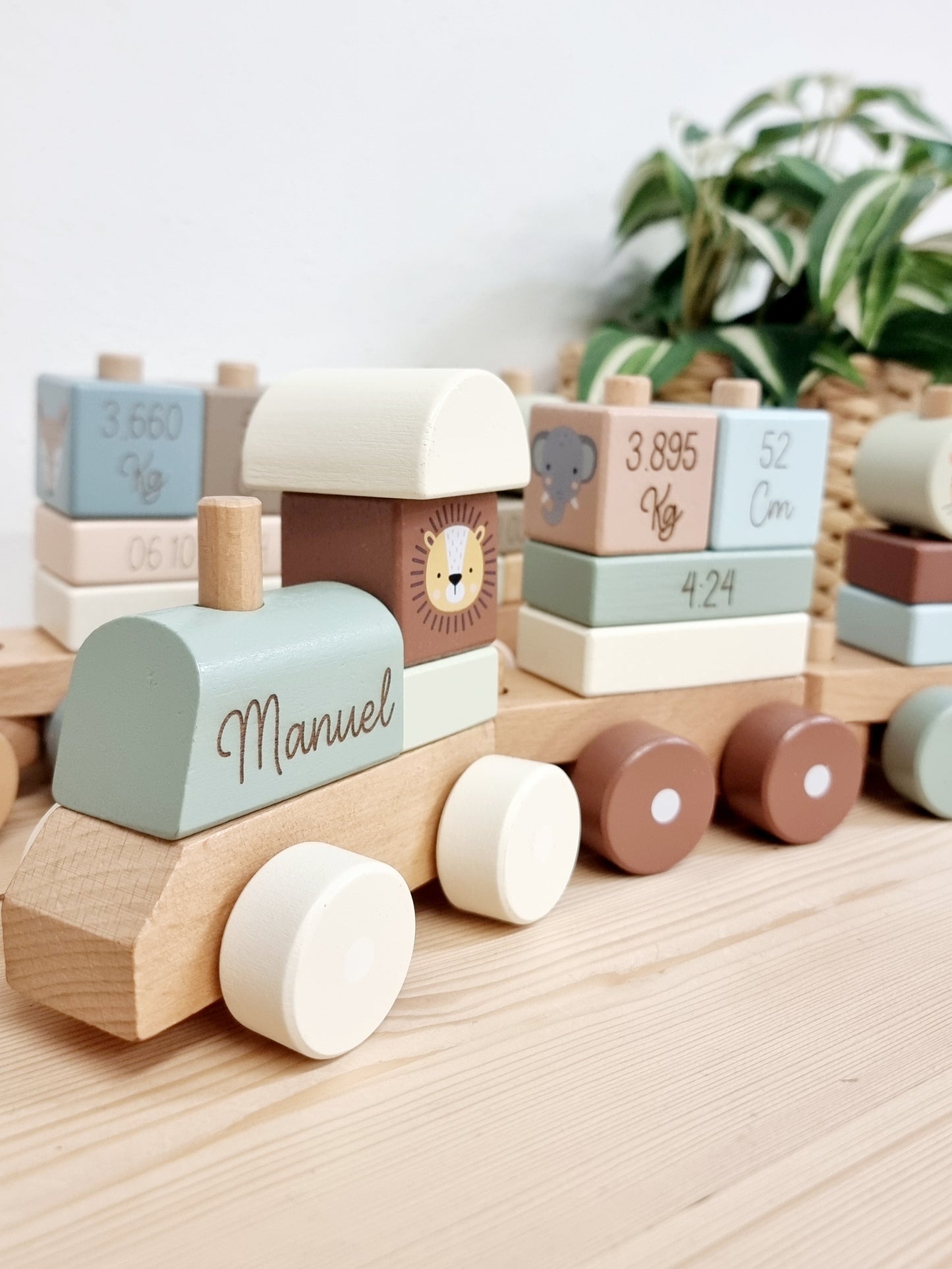 Trenino legno
